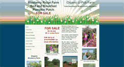 Desktop Screenshot of blueberryridgefarm.com