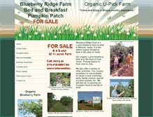 Tablet Screenshot of blueberryridgefarm.com